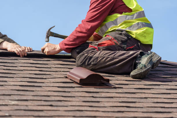 Best Roof Gutter Cleaning  in Clover Creek, WA