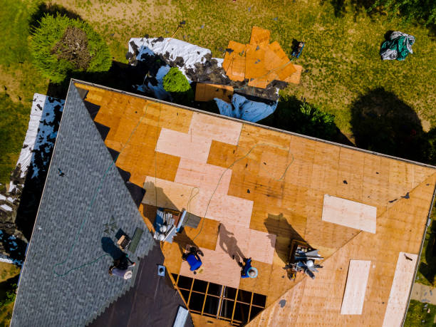 Best Best Roofing Contractors  in Clover Creek, WA